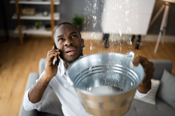  Sale Creek, TN Water damage restoration Pros